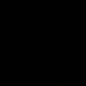 Meet your Posher, Parker